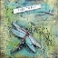 Picture of FREE TO FLY
