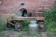 Picture of MILK WAGON