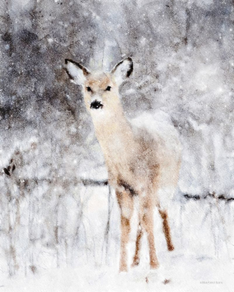 Picture of DEER IN WINTER FOREST