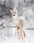 Picture of DEER IN WINTER FOREST