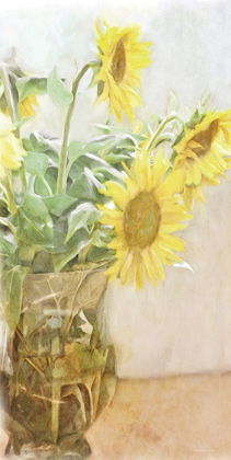 Picture of SUNFLOWER   