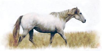 Picture of WHITE HORSE   