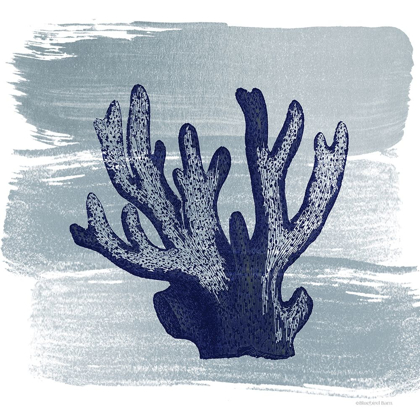 Picture of BRUSHED MIDNIGHT BLUE ELKHORN CORAL
