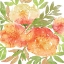 Picture of PEACHY FLORAL IIO
