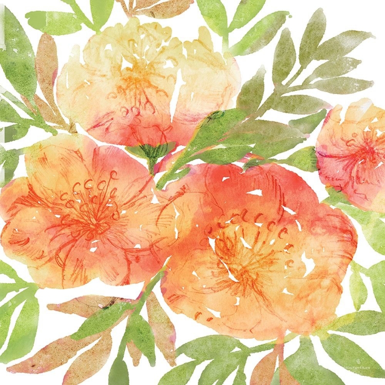 Picture of PEACHY FLORAL IIO