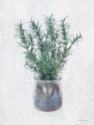 Picture of ROSEMARY JAR