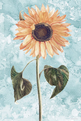 Picture of VINTAGE SUNFLOWER