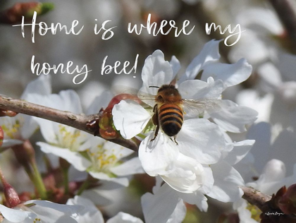 Picture of HOME IS WHERE MY HONEY BEE!