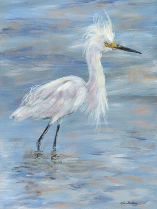 Picture of EGRET