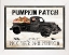Picture of PUMPKIN PATCH BLACK TRUCK