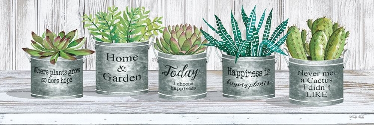 Picture of GALVANIZED POT SUCCULENTS II