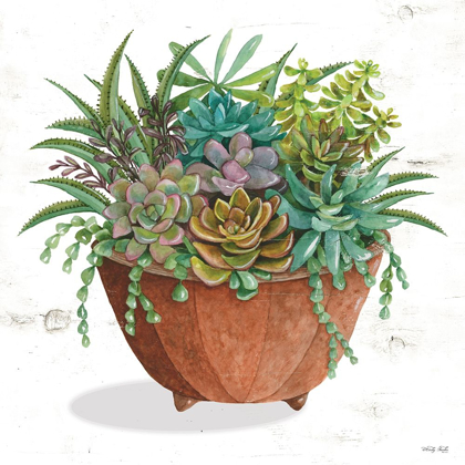 Picture of TERRACOTTA SUCCULENTS I   