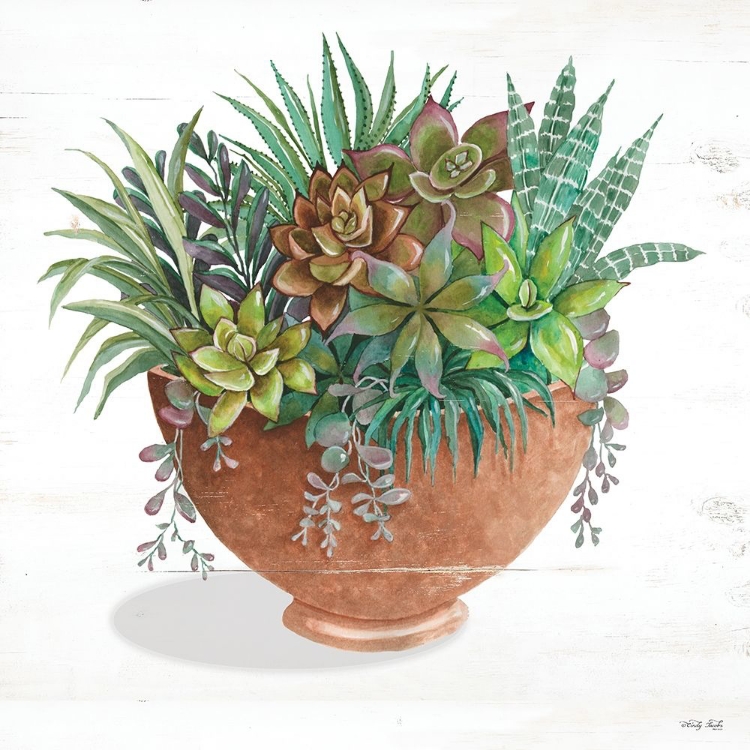 Picture of TERRACOTTA SUCCULENTS II   