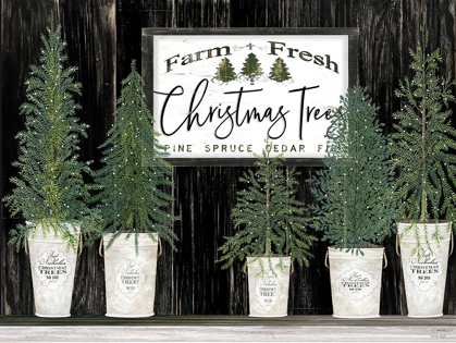 Picture of FARM FRESH CHRISTMAS TREES   