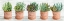 Picture of TERRACOTTA POTS II