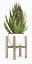 Picture of WHITE POTS ON STANDS IV
