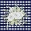 Picture of NAVY FLORAL II   