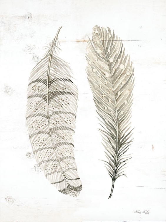 Picture of FEATHER I   
