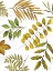 Picture of LEAF PATTERNS I