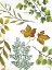 Picture of LEAF PATTERNS II