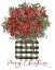Picture of MERRY CHRISTMAS POINSETTIA
