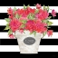 Picture of FUCHSIA FLORES STRIPES