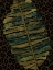 Picture of BANANA LEAF