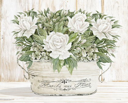 Picture of ROSES IN WHITE