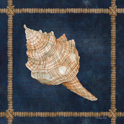 Picture of SEASHELL ON NAVY IV