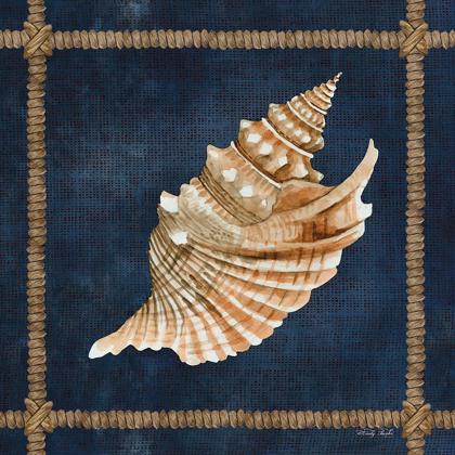 Picture of SEASHELL ON NAVY V