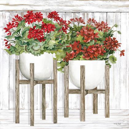 Picture of RED GERANIUMS