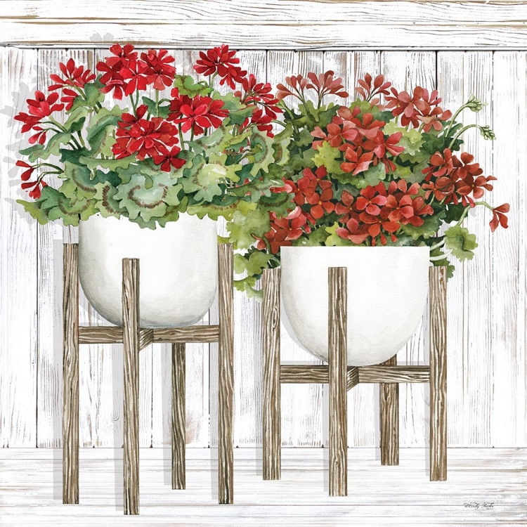 Picture of RED GERANIUMS