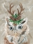Picture of CHRISTMAS OWL
