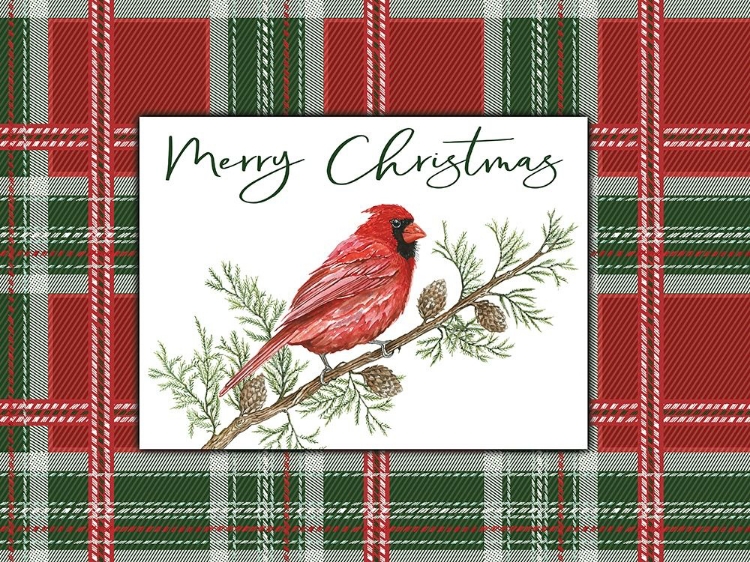 Picture of MERRY CHRISTMAS CARDINAL