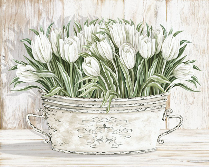 Picture of TULIPS IN WHITE CHIPPED PAIL