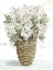 Picture of HYDRANGEA BASKET   