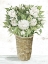 Picture of PEONY BASKET