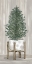 Picture of POTTED TREE I