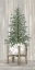 Picture of POTTED TREE II