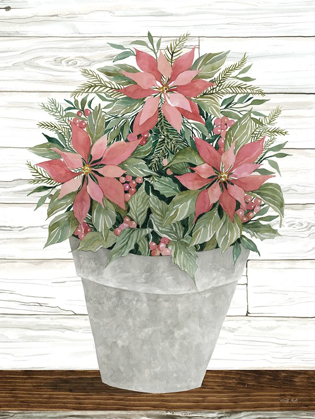 Picture of POT OF POINSETTIAS