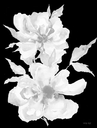 Picture of BLACK AND WHITE FLOWERS I