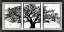 Picture of GEO TREE