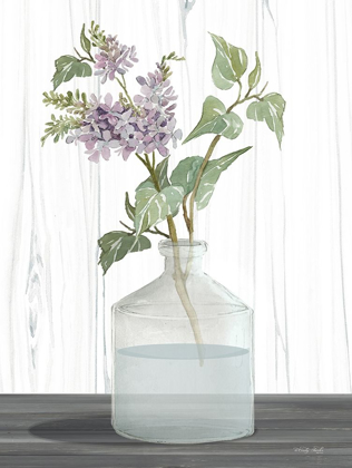 Picture of LILACS IV