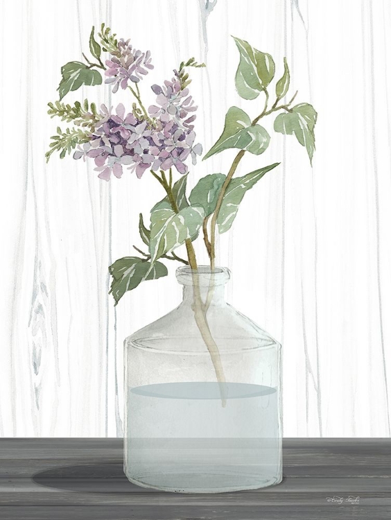 Picture of LILACS IV