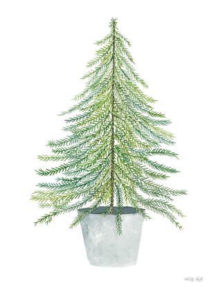 Picture of FIR TREE IN POT      