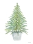 Picture of FIR TREE IN POT      