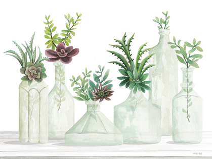 Picture of SUCCULENT BOTTLES