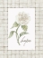 Picture of HOPE FLOWER