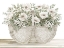 Picture of BASKET OF POPPIES