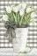 Picture of FARMHOUSE TULIPS